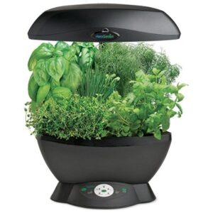 Seed Starting Supplies & Systems