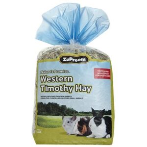 Small Pet Food & Treats