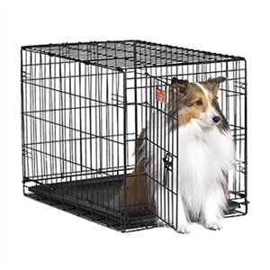 Pet Supplies