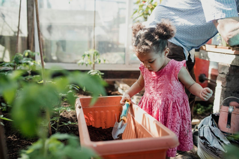 Eco-Friendly Gardening Tips
