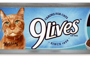 Cat Food