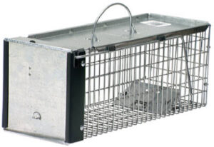 Animal Traps