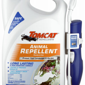 Rodent Control