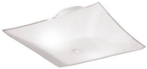 2-Light Ceiling Fixture