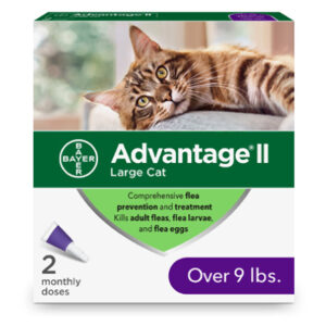 Cat Grooming & Health