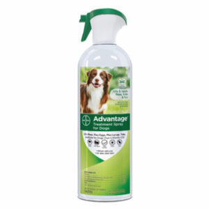 Dog Grooming & Health