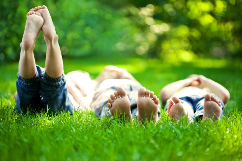 4 Tips for Organic Lawn Care