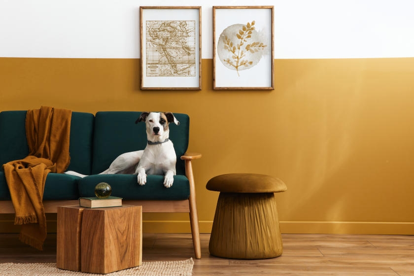 Why Settle for One Color? Two-Tone Paint Ideas