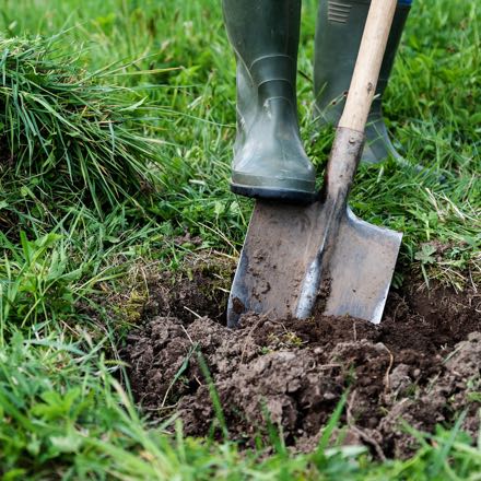 shovel ground