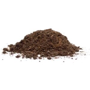 Lawn & Garden Care